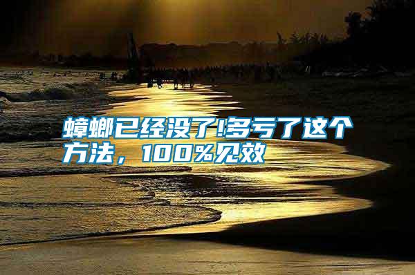 蟑螂已經沒了!多虧了這個方法，100%見效