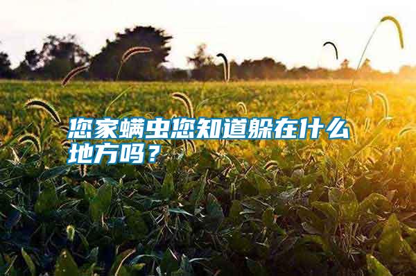 您家螨蟲您知道躲在什么地方嗎？