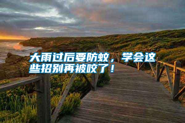 大雨過后要防蚊，學會這些招別再被咬了！