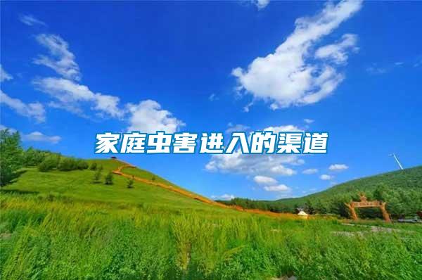 家庭蟲(chóng)害進(jìn)入的渠道