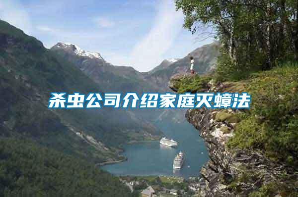 殺蟲(chóng)公司介紹家庭滅蟑法