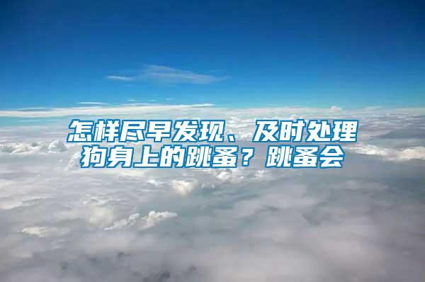 怎樣盡早發(fā)現(xiàn)、及時(shí)處理狗身上的跳蚤？跳蚤會(huì)