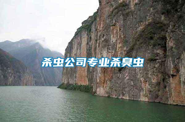 殺蟲公司專業殺臭蟲