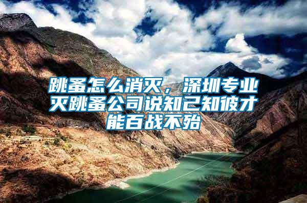 跳蚤怎么消滅，深圳專業(yè)滅跳蚤公司說知己知彼才能百戰(zhàn)不殆