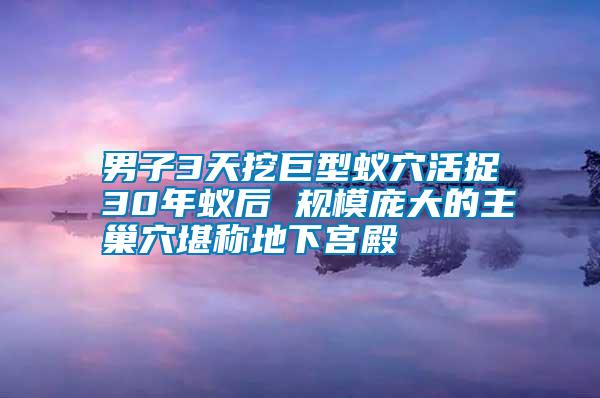 男子3天挖巨型蟻穴活捉30年蟻后 規模龐大的主巢穴堪稱地下宮殿