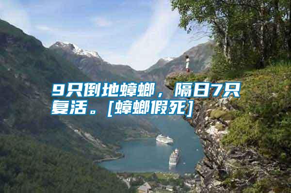 9只倒地蟑螂，隔日7只復(fù)活。[蟑螂假死]