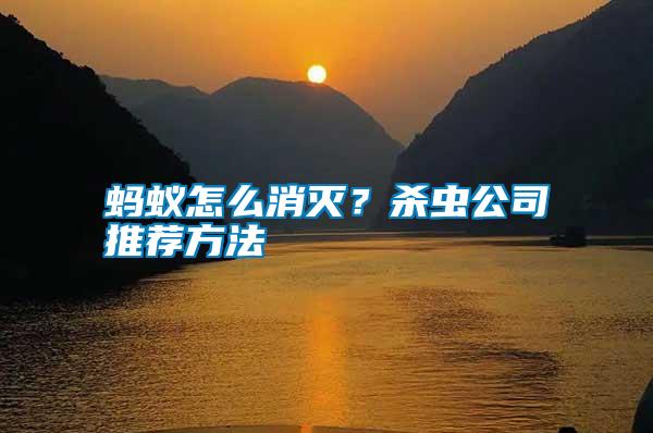 螞蟻怎么消滅？殺蟲(chóng)公司推薦方法