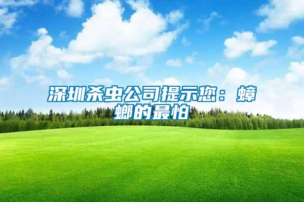 深圳殺蟲(chóng)公司提示您：蟑螂的最怕