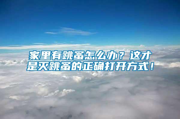 家里有跳蚤怎么辦？這才是滅跳蚤的正確打開方式！