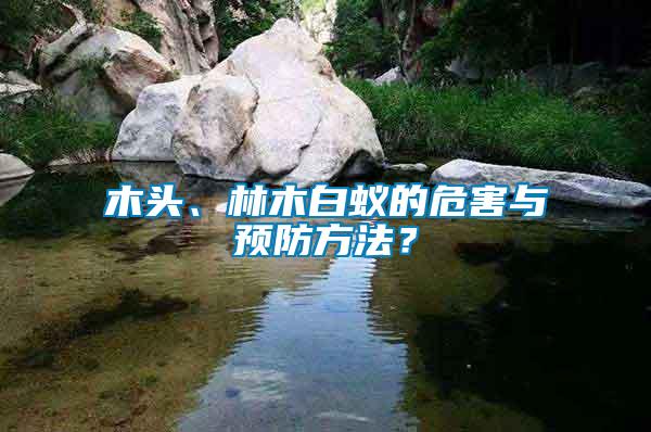 木頭、林木白蟻的危害與預(yù)防方法？