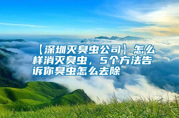 【深圳滅臭蟲公司】怎么樣消滅臭蟲，5個方法告訴你臭蟲怎么去除
