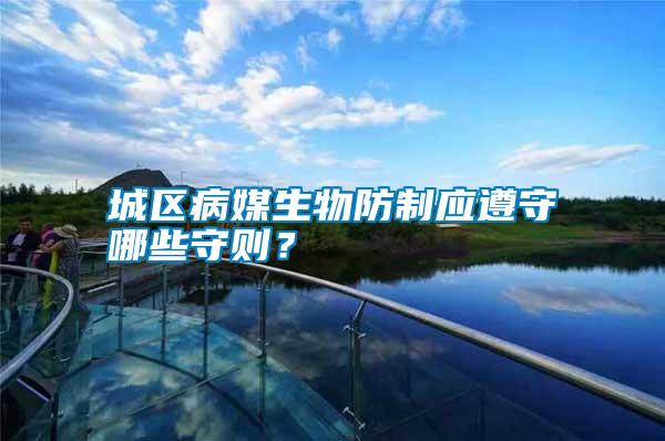 城區(qū)病媒生物防制應(yīng)遵守哪些守則？