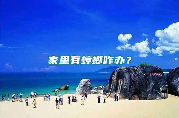 家里有蟑螂咋辦？