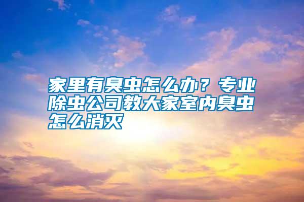 家里有臭蟲怎么辦？專業除蟲公司教大家室內臭蟲怎么消滅