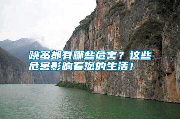 跳蚤都有哪些危害？這些危害影響著您的生活！