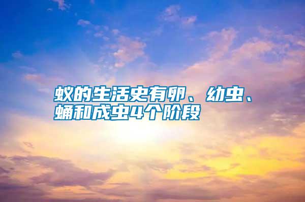蟻的生活史有卵、幼蟲、蛹和成蟲4個階段