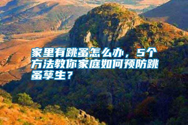 家里有跳蚤怎么辦，5個(gè)方法教你家庭如何預(yù)防跳蚤孳生？