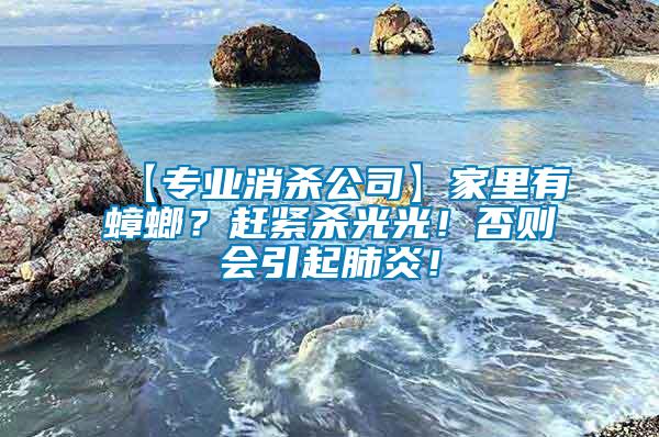 【專業消殺公司】家里有蟑螂？趕緊殺光光！否則會引起肺炎！