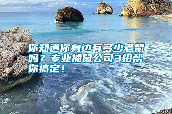 你知道你身邊有多少老鼠嗎？專業捕鼠公司3招幫你搞定！