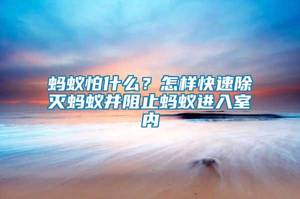 螞蟻怕什么？怎樣快速除滅螞蟻并阻止螞蟻進入室內