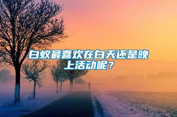 白蟻?zhàn)钕矚g在白天還是晚上活動(dòng)呢？