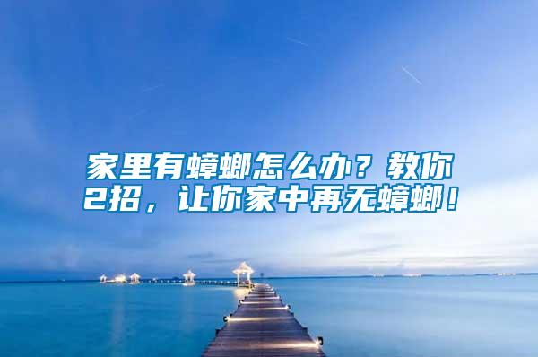 家里有蟑螂怎么辦？教你2招，讓你家中再無蟑螂！