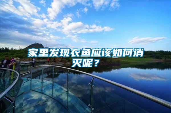 家里發現衣魚應該如何消滅呢？
