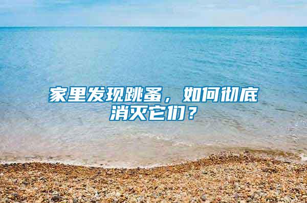 家里發現跳蚤，如何徹底消滅它們？
