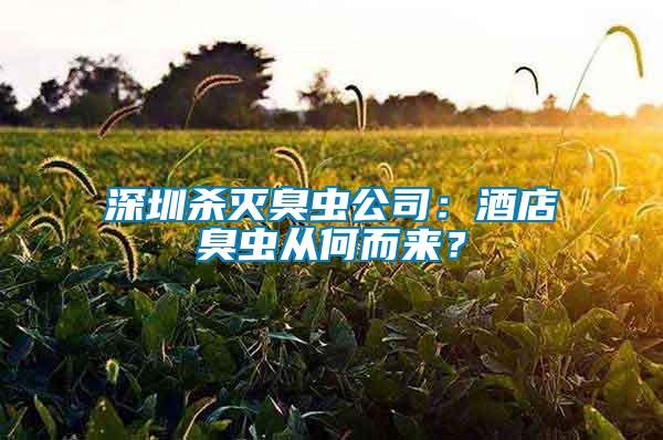 深圳殺滅臭蟲(chóng)公司：酒店臭蟲(chóng)從何而來(lái)？
