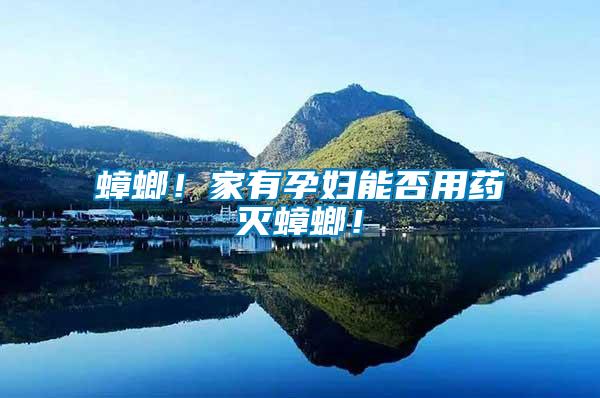 蟑螂！家有孕婦能否用藥滅蟑螂！