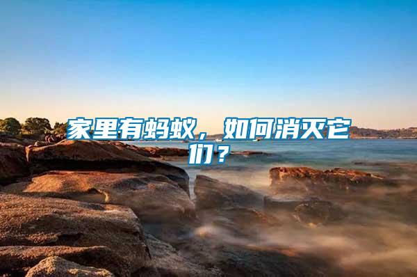 家里有螞蟻，如何消滅它們？