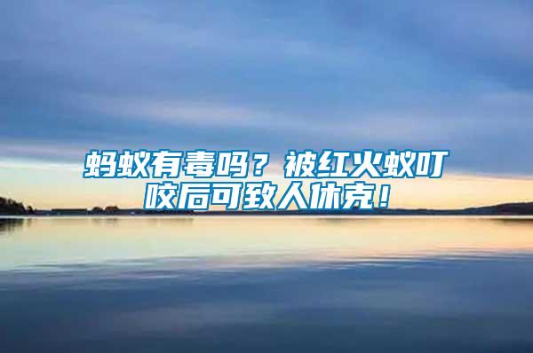 螞蟻有毒嗎？被紅火蟻叮咬后可致人休克！