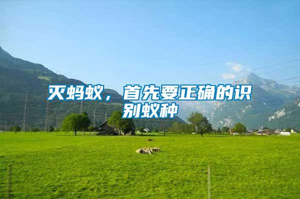 滅螞蟻，首先要正確的識(shí)別蟻種