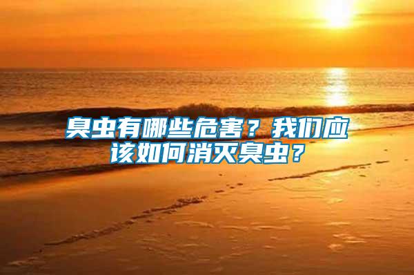 臭蟲(chóng)有哪些危害？我們應(yīng)該如何消滅臭蟲(chóng)？