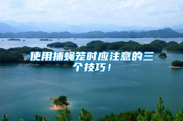 使用捕蠅籠時(shí)應(yīng)注意的三個(gè)技巧！
