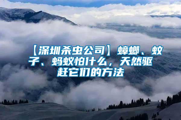 【深圳殺蟲公司】蟑螂、蚊子、螞蟻怕什么，天然驅(qū)趕它們的方法