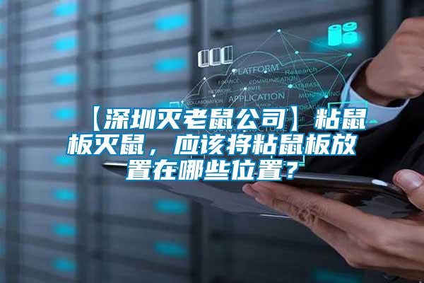 【深圳滅老鼠公司】粘鼠板滅鼠，應該將粘鼠板放置在哪些位置？