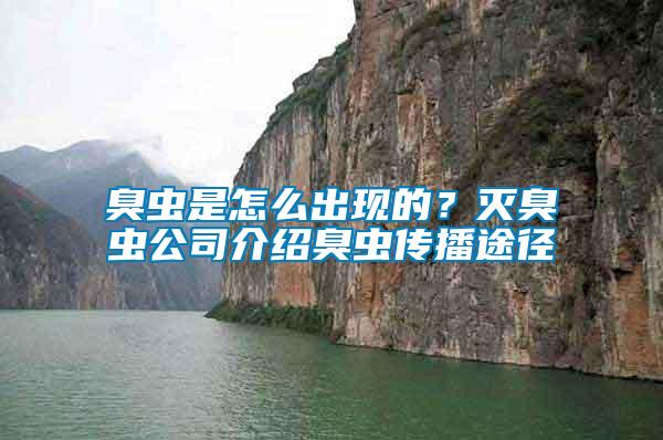 臭蟲是怎么出現的？滅臭蟲公司介紹臭蟲傳播途徑