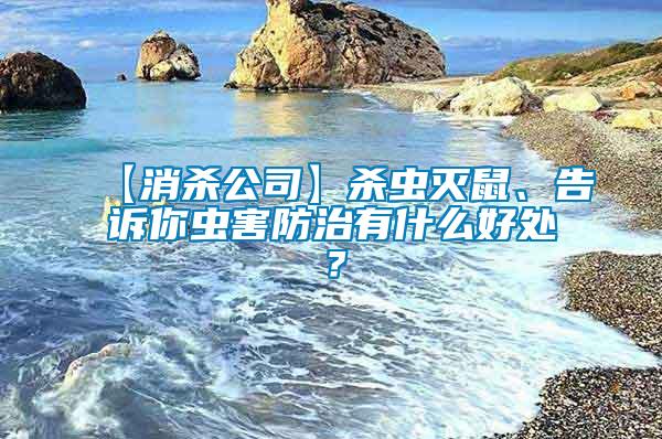 【消殺公司】殺蟲滅鼠、告訴你蟲害防治有什么好處？