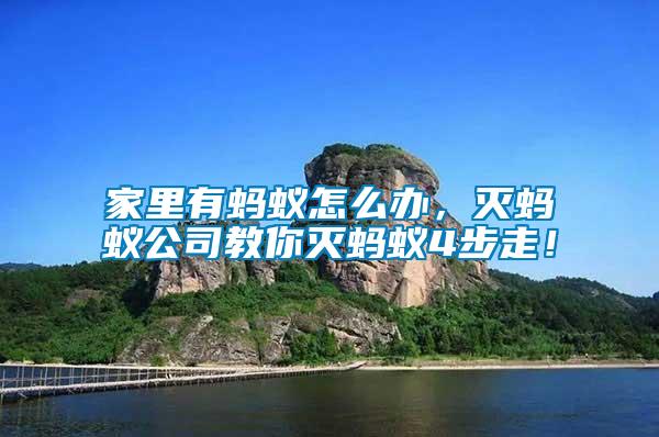 家里有螞蟻怎么辦，滅螞蟻公司教你滅螞蟻4步走！