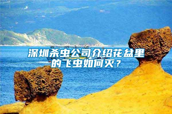 深圳殺蟲公司介紹花盆里的飛蟲如何滅？