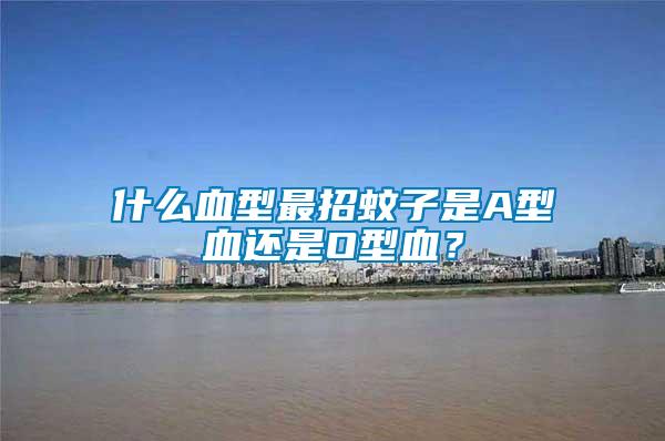 什么血型最招蚊子是A型血還是O型血？