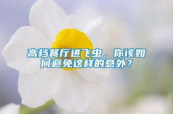 高檔餐廳進飛蟲，你該如何避免這樣的意外？