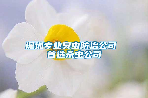 深圳專業(yè)臭蟲(chóng)防治公司 首選殺蟲(chóng)公司