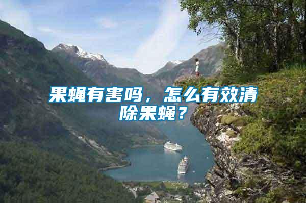 果蠅有害嗎，怎么有效清除果蠅？