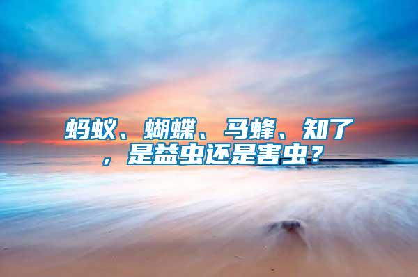 螞蟻、蝴蝶、馬蜂、知了，是益蟲還是害蟲？