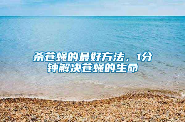 殺蒼蠅的最好方法，1分鐘解決蒼蠅的生命