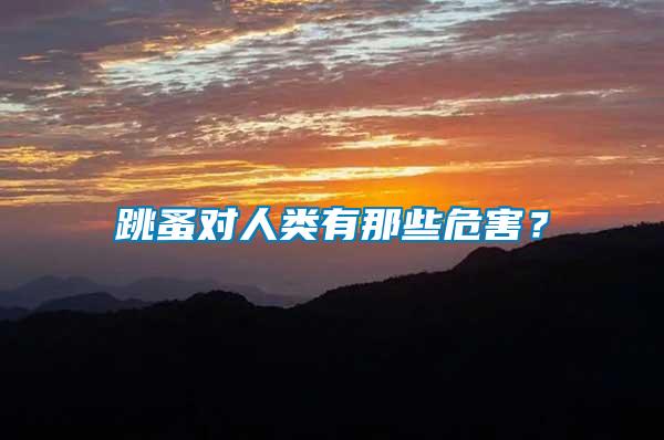 跳蚤對(duì)人類有那些危害？
