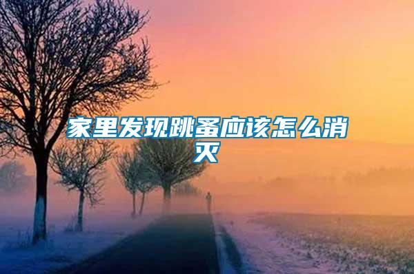 家里發現跳蚤應該怎么消滅