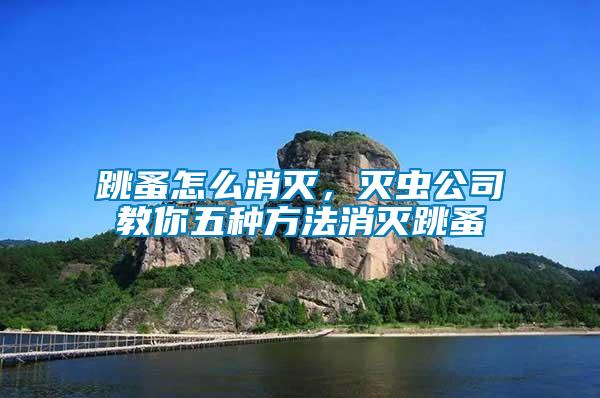 跳蚤怎么消滅，滅蟲(chóng)公司教你五種方法消滅跳蚤